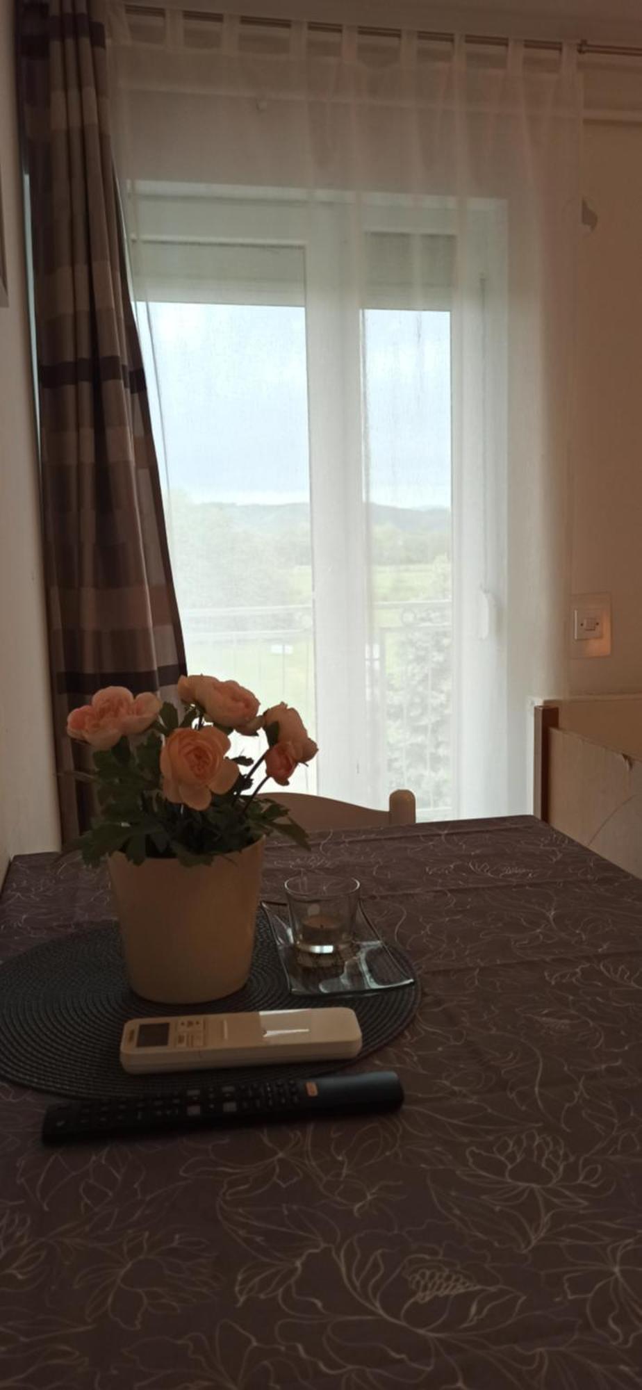 Studio Apartmani Ok Lipik Rom bilde